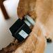 Розпив Atelier Materi Santal Blond 2 мл