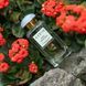 Распил Aerin Wild Geranium 2 мл